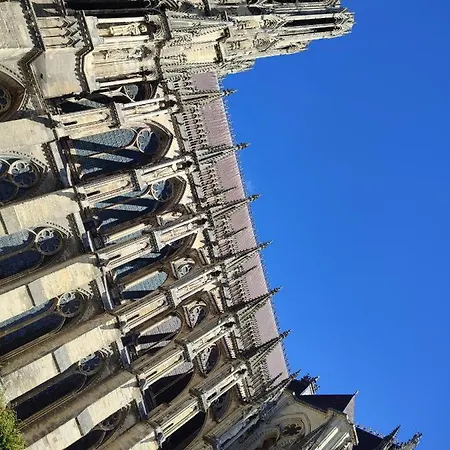 La Place Des Sacres, Proche Gare Et Centre Reims