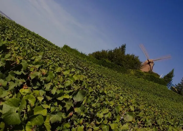 La Place Des Sacres, Proche Gare Et Centre Apartment *