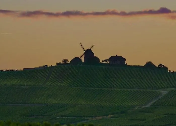 La Place Des Sacres, Proche Gare Et Centre Apartment *